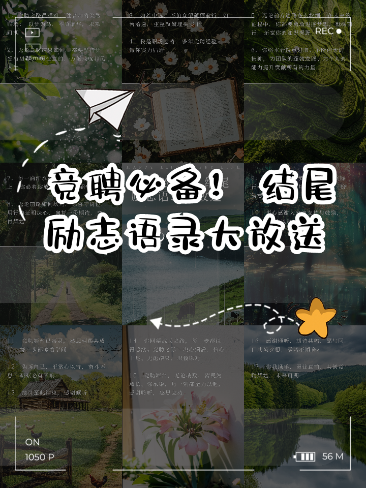 迈向巅峰！不畏艰难，不负众望