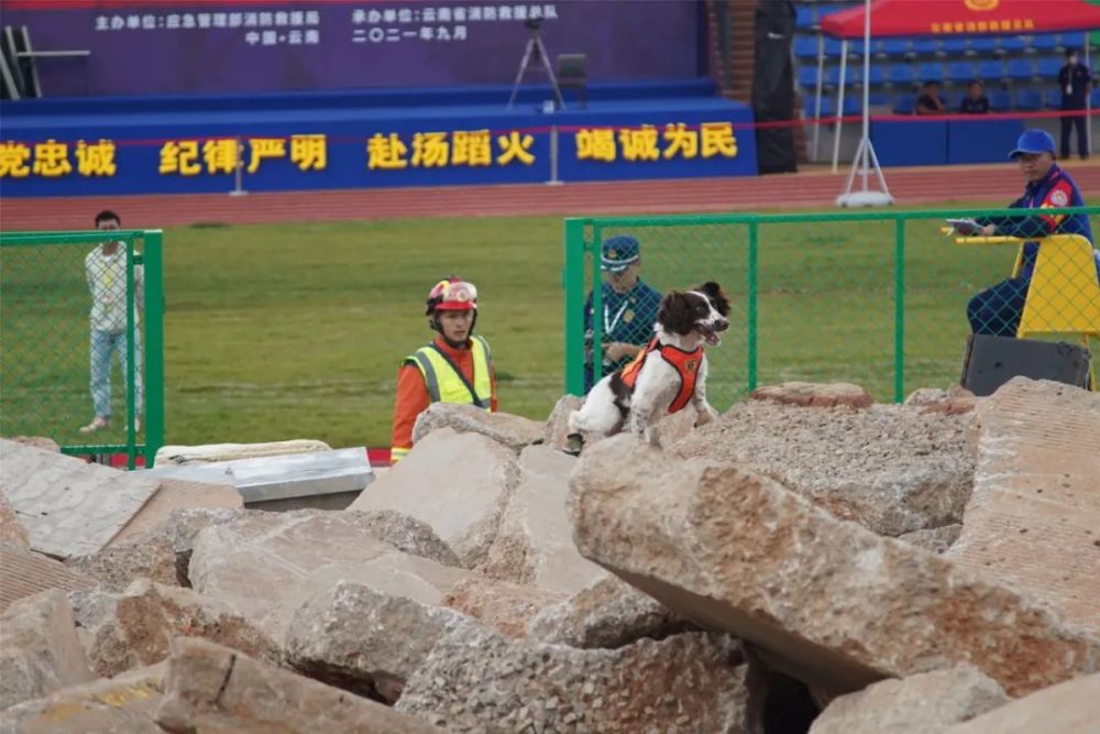 关于拼尽全力追逐胜利的过程,令人敬佩的信息 关于拼尽全力追逐胜利的过程,令人敬佩的信息